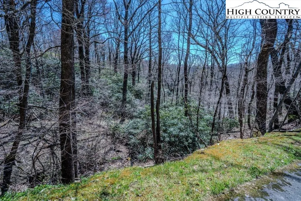 Property in Watauga