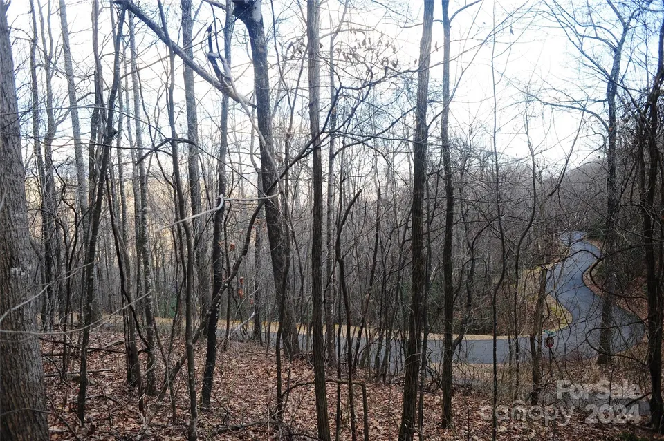 Property in Buncombe