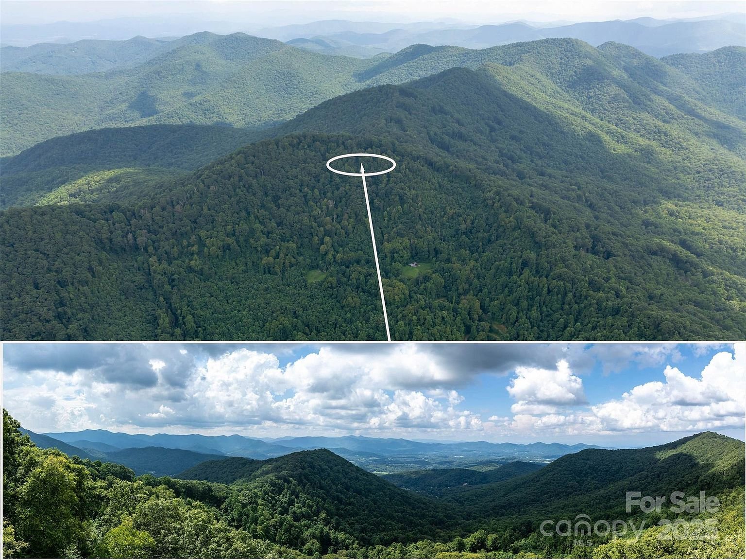 Property in Buncombe