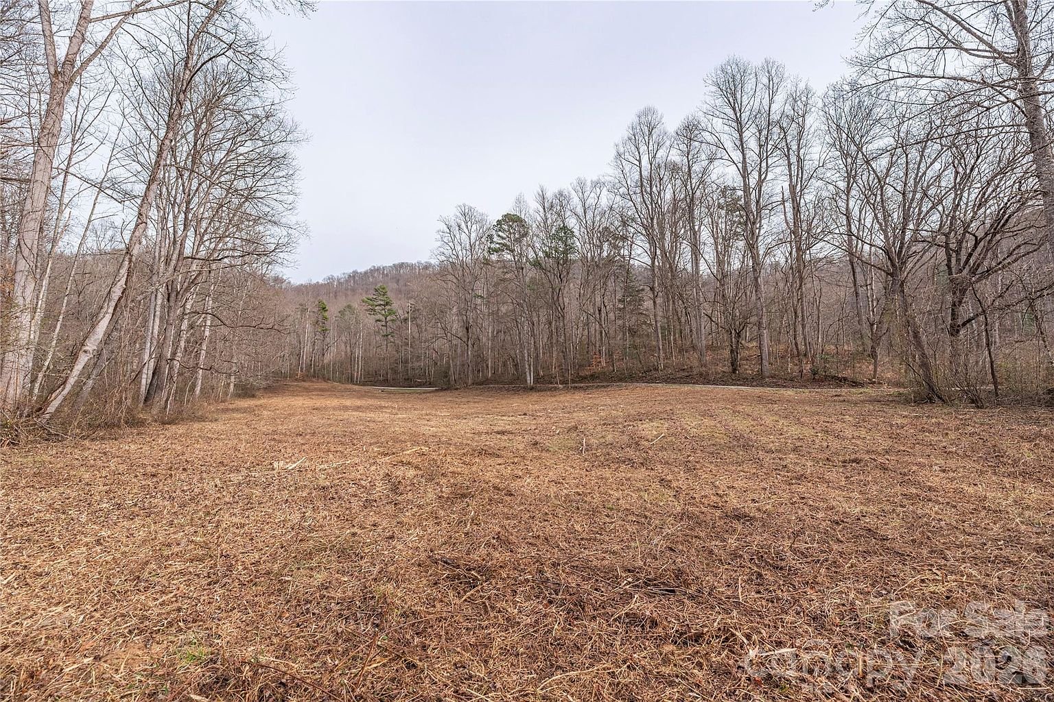 Property in Jackson