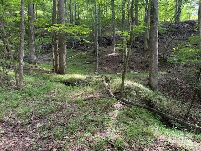 Property in Yancey