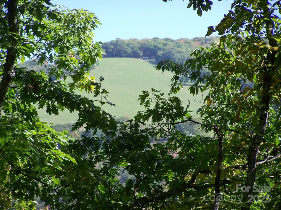 Property in Haywood