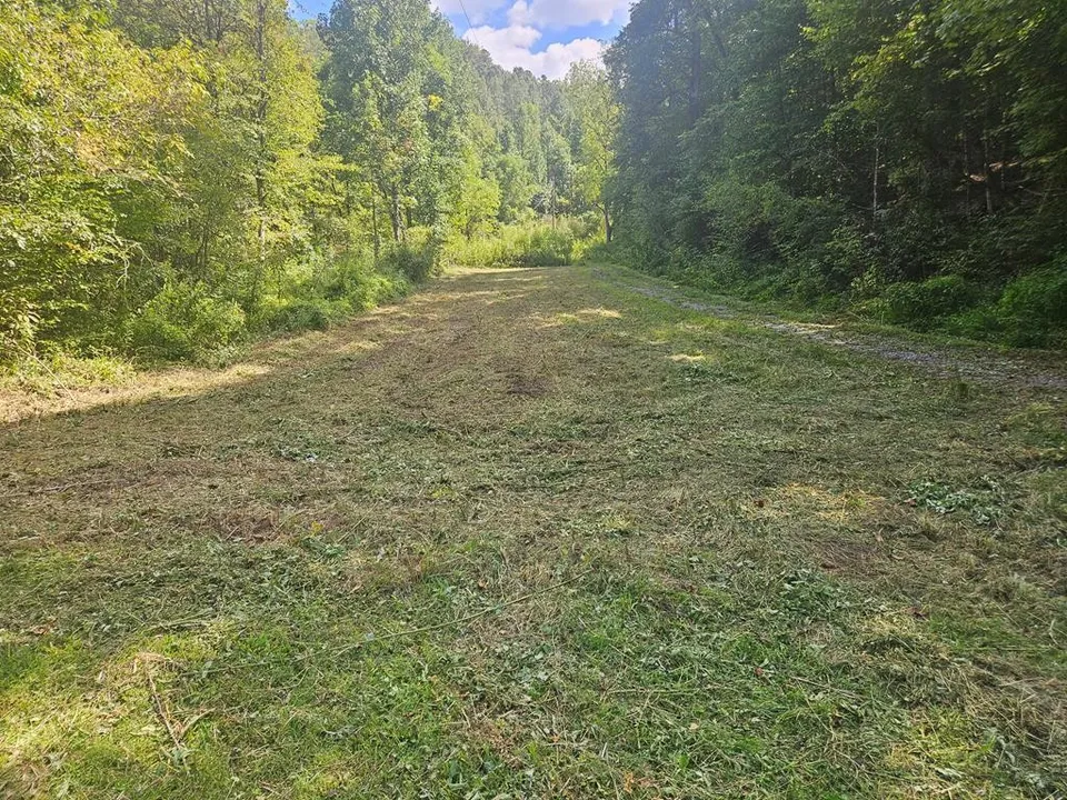 Property in Jackson