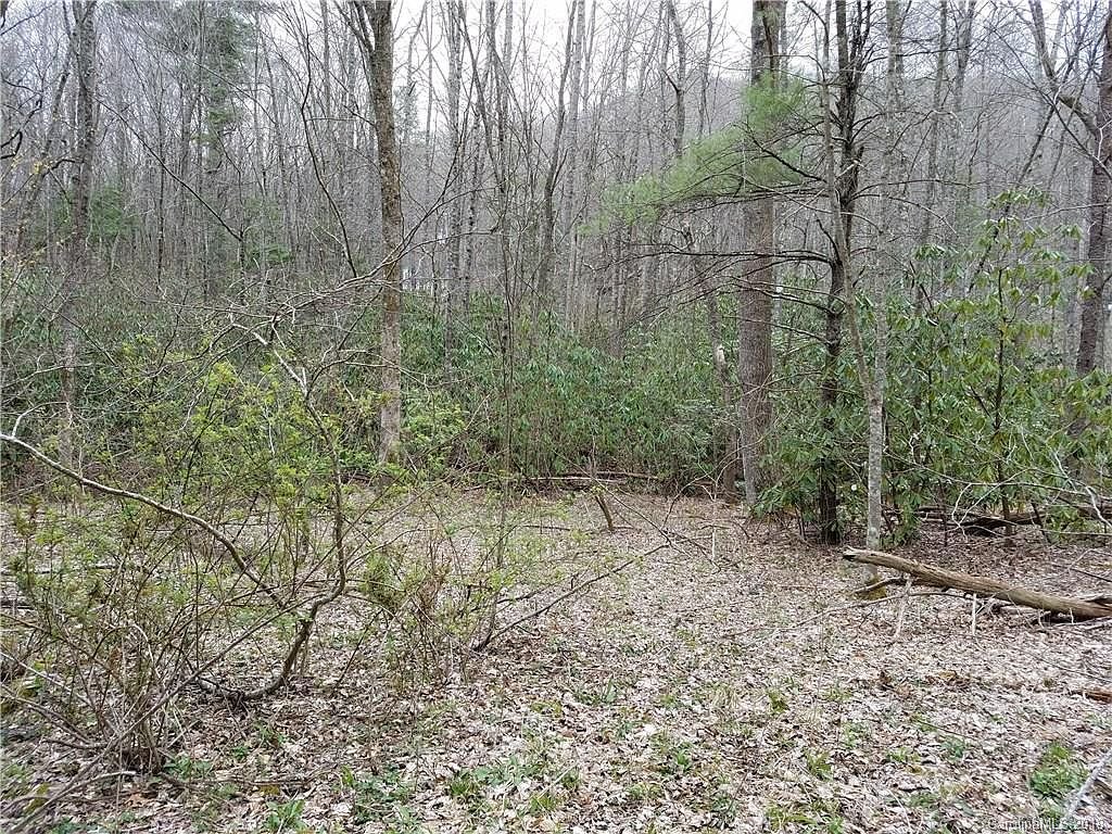 Property in Buncombe