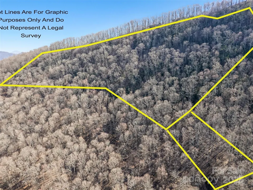Property in Haywood