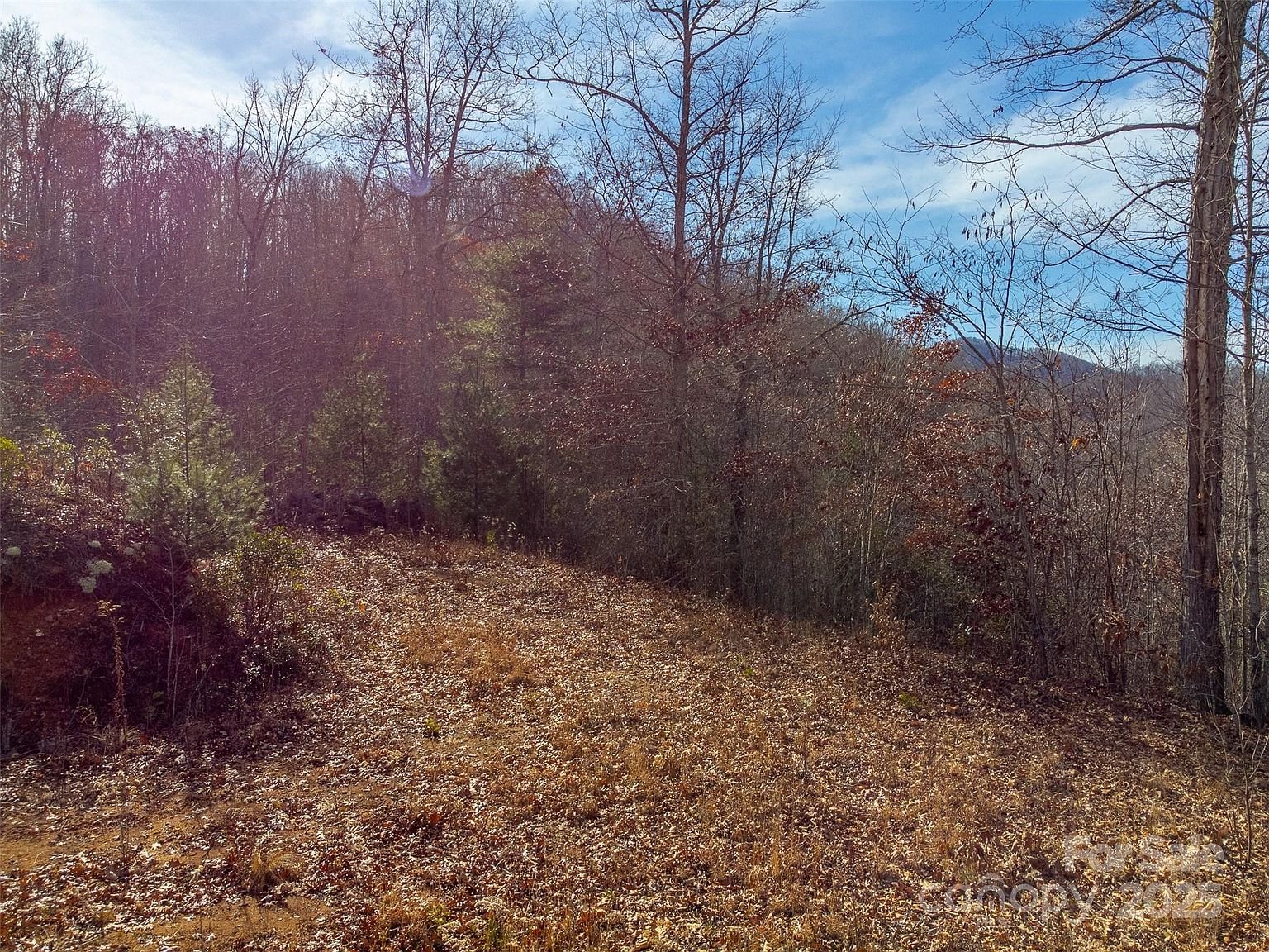 Property in Jackson