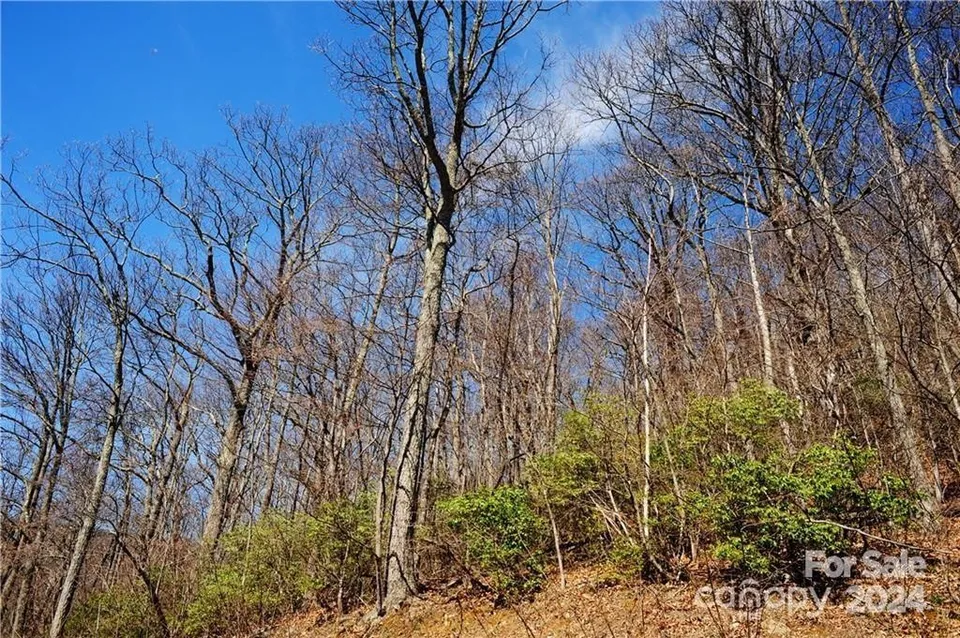 Property in Buncombe