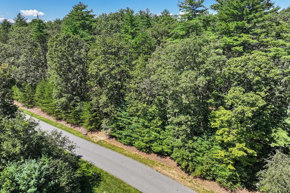 Property in Buncombe