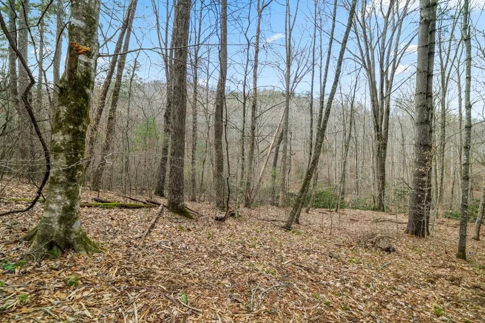 Property in Macon