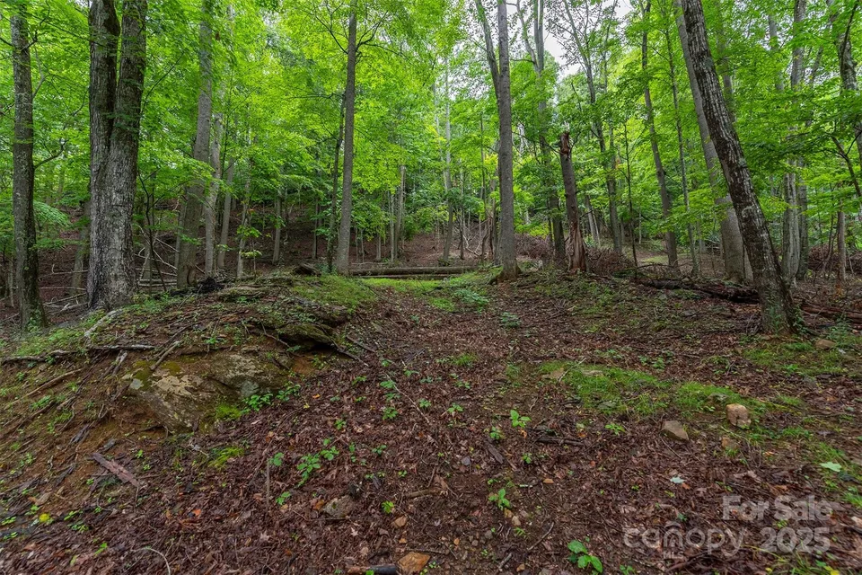Property in Yancey