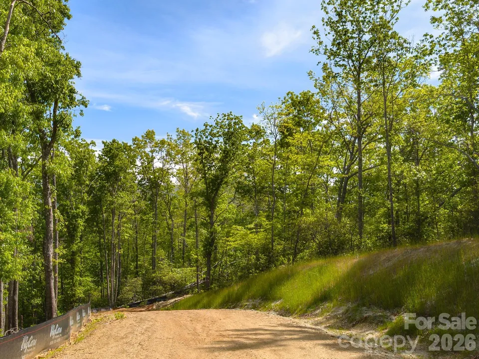 Property in Buncombe