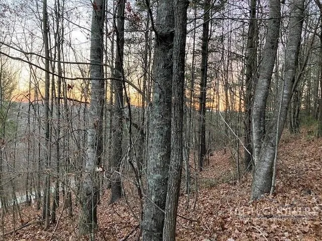 Property in Watauga