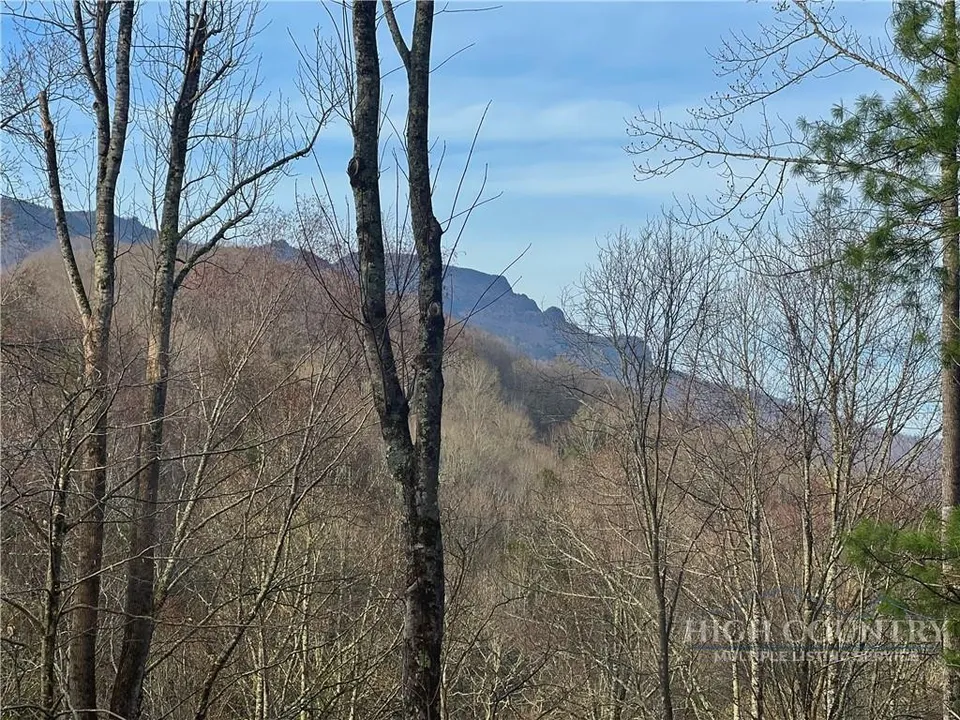 Property in Watauga