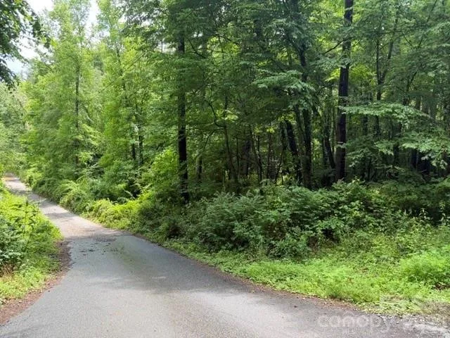 Property in Buncombe