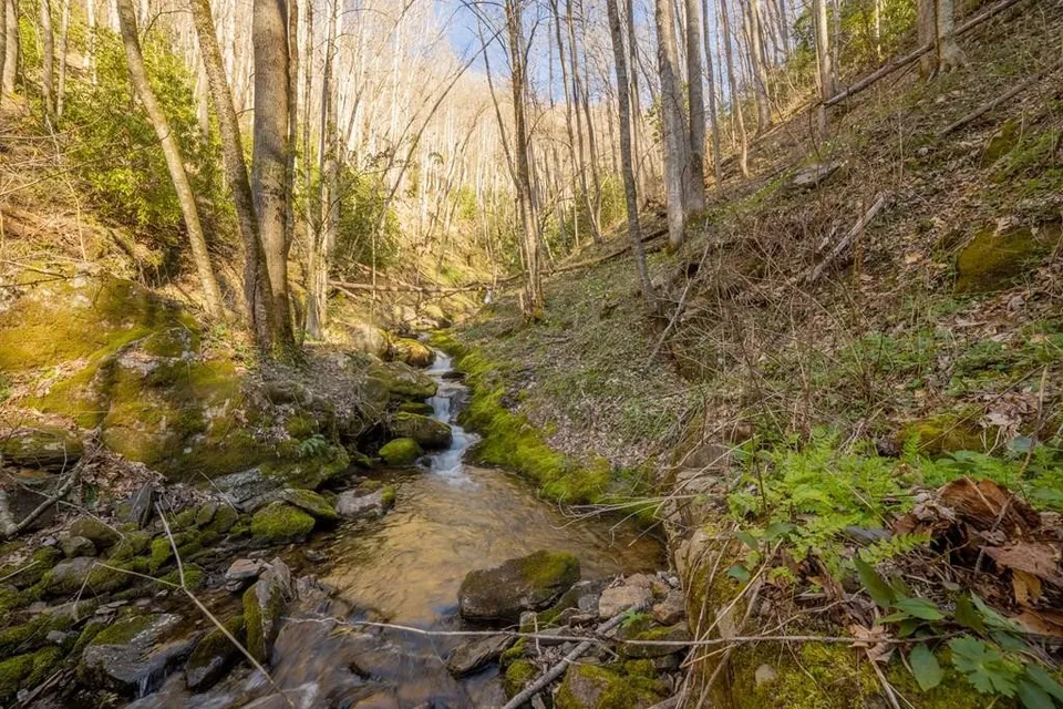 Property in Jackson