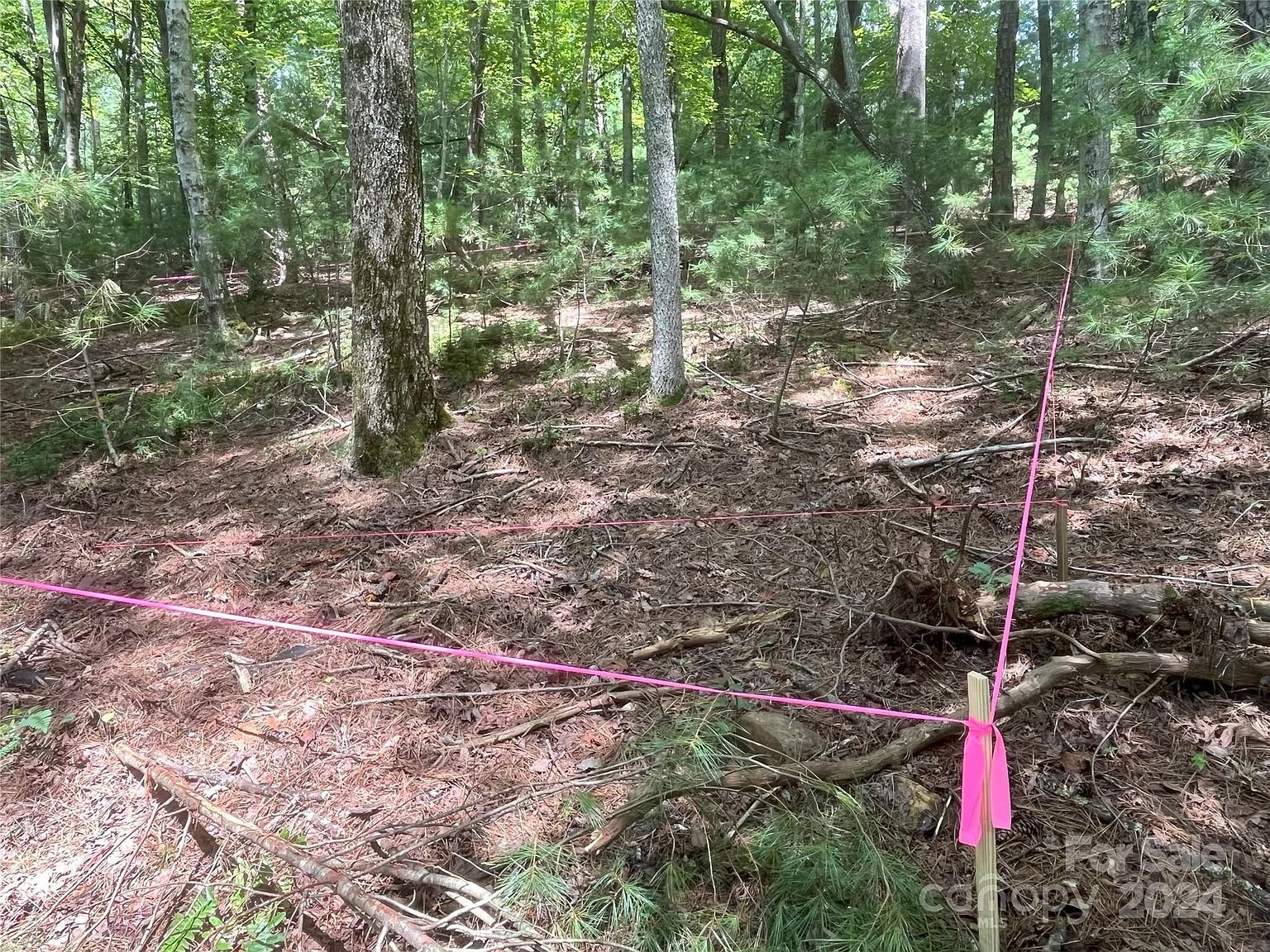 Property in Buncombe