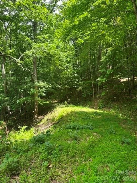 Property in Watauga