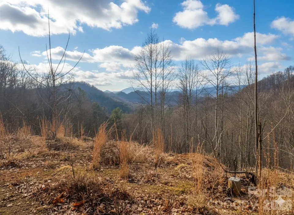 Property in Yancey