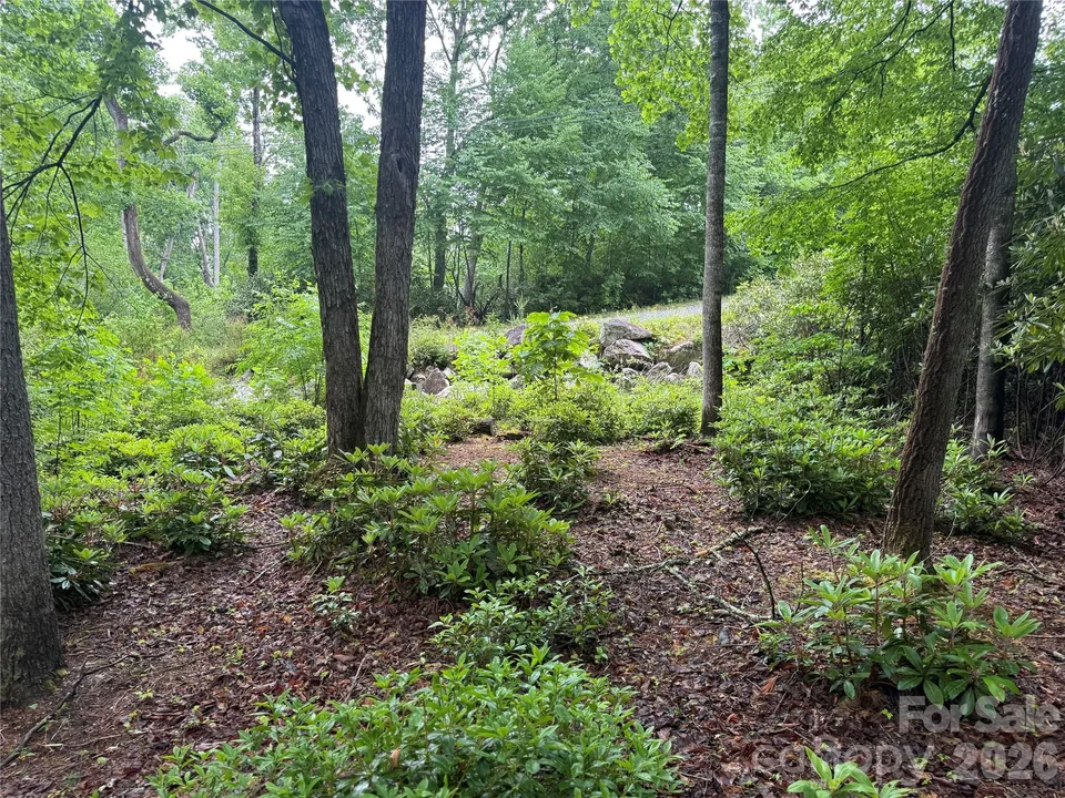 Property in Mitchell