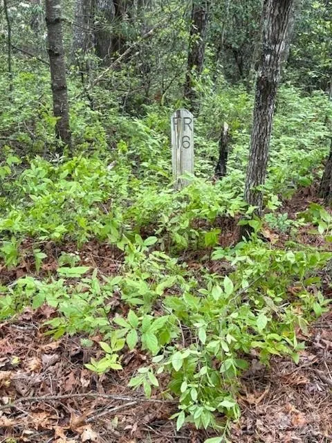 Property in Transylvania