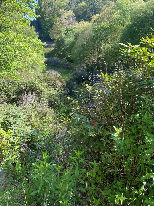 Property in Jackson