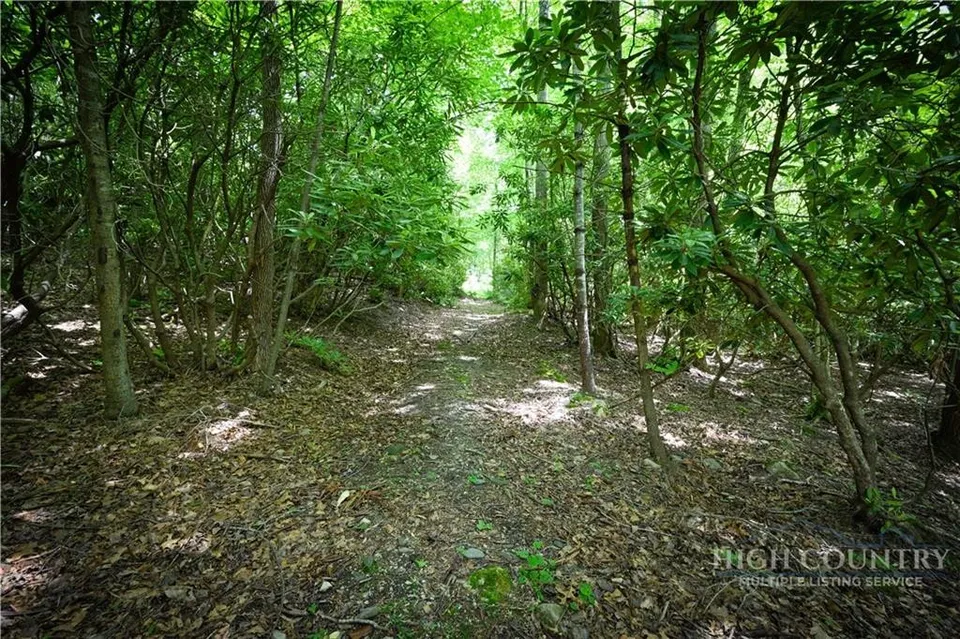 Property in Avery