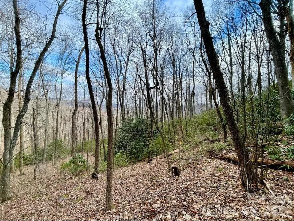 Property in Buncombe