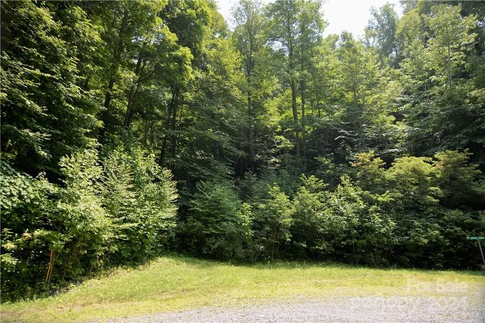 Property in Madison