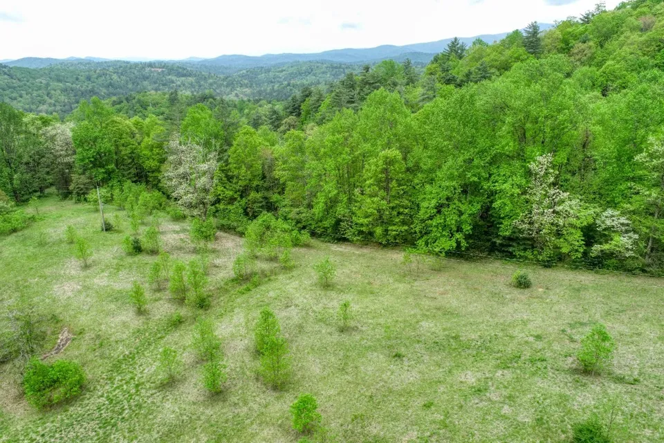 Property in Macon